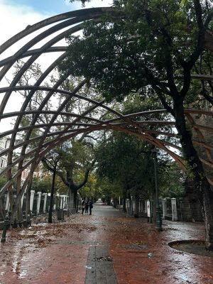 WhatsApp Image 2025-06-26 at 19.54.59 (1)