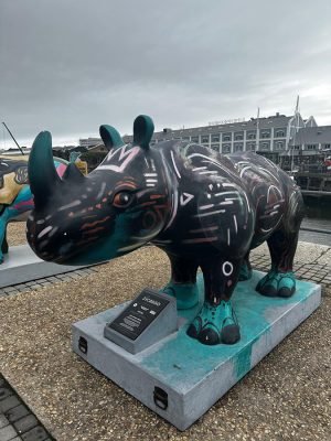 WhatsApp Image 2025-06-28 at 16.33.46 (1)