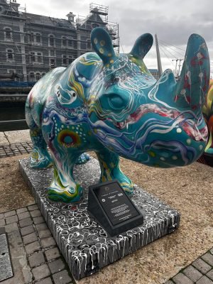 WhatsApp Image 2025-06-28 at 16.33.46