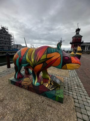 WhatsApp Image 2025-06-28 at 16.33.49 (2)