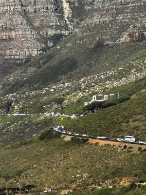 WhatsApp Image 2025-06-29 at 17.19.13