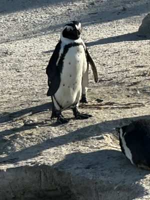 WhatsApp Image 2025-06-30 at 18.50.55 (1)